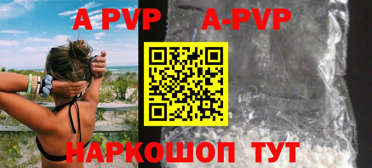 Альфа ПВП СК Кузнецк